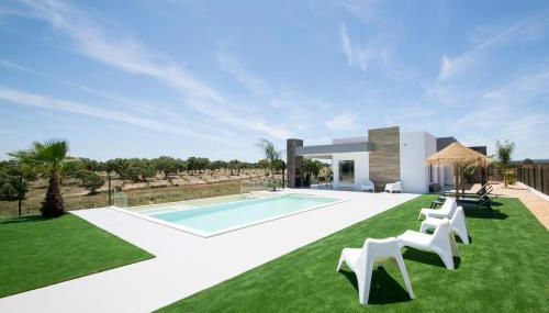 Monte Calmaria by Estilo Lusitano, with private pool and Jacuzzi - Foto 3, Garden