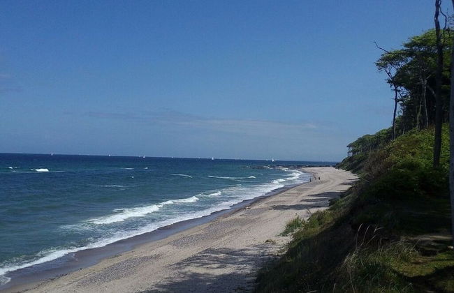 Schatje in het Huis Pamir - Foto 15