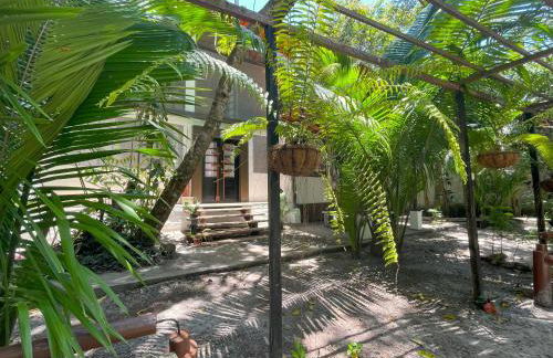 REFUGIO DO SAGRADO MORERE Tropical Lodge - A Casa do Vigía - Foto 55