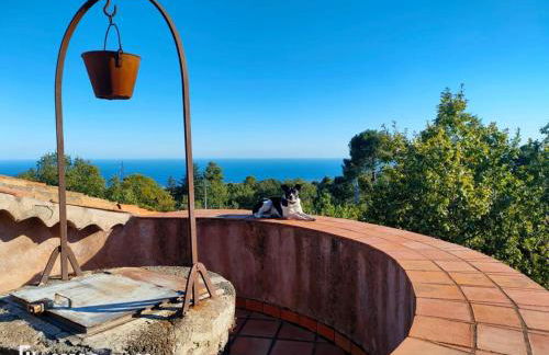 Etna 1928 Country House - Foto 64