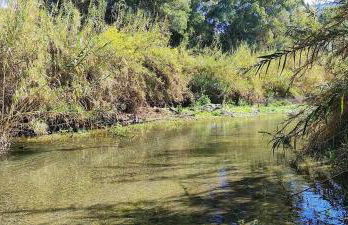 Acogedor Estudio, Río Grande - Photo 17