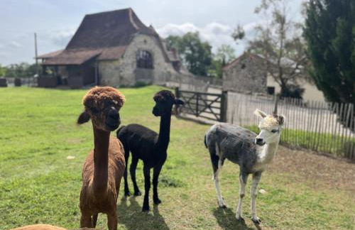 Gîte La Borie - Foto 1