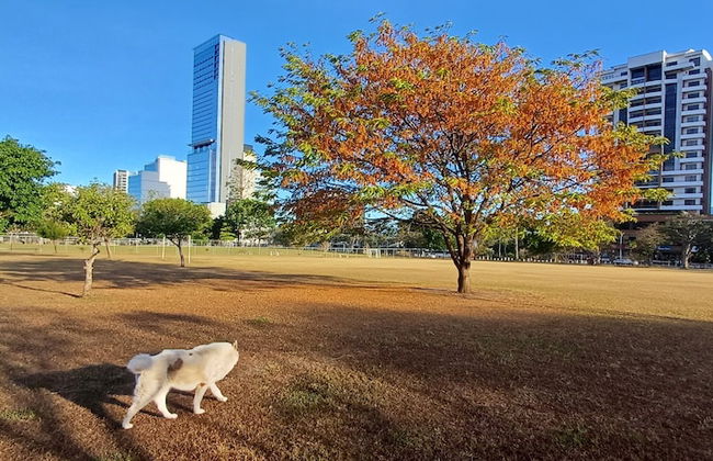 Sabana Studios - Foto 50