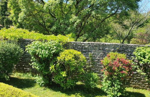 LE PARC DE JEANNE - Foto 50