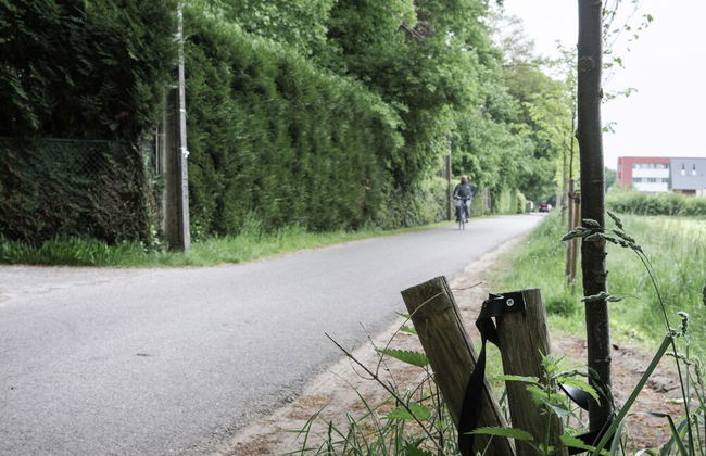 Westmalle Forest Garden Home - Foto 27