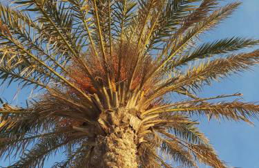 Port Sa Playa beach apartment - Foto 20