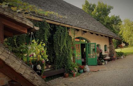 Domy Konesera - Foto 1