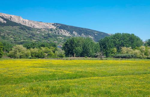 Apartment Marija-3 by Interhome - Photo 28