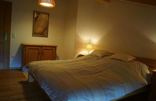 Fembacher Alm - Photo 30