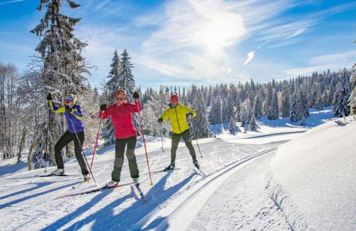 Le Chalain cosy proche centre ville - Foto 31