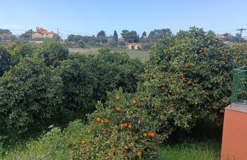 Private villa , 5 min drive from the beach - Foto 43