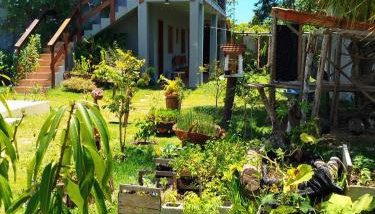 Pousada Morada dos Pássarosp - Foto 3