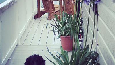 SeaView Sleeps 4to6 Pet friendly Parking - Foto 5