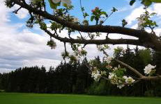 Apartment Apart Waldershof - Foto 22