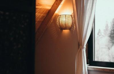 Mech i brzoza - Foto 12