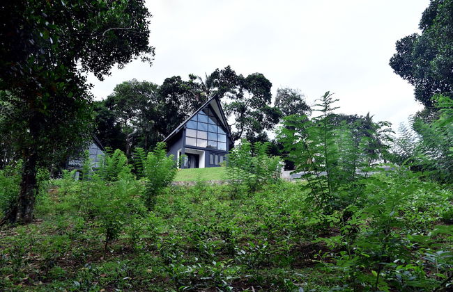 The Country House - Foto 34