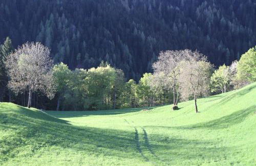 Dolomiti di Brenta House 2 - Foto 38