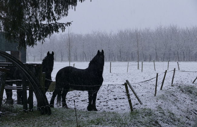 Apartment Near the Belgian Border - Photo 70