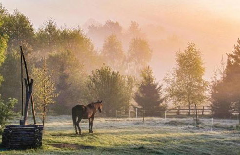 Three-Bedroom Holiday Home In Milakowo - Foto 35