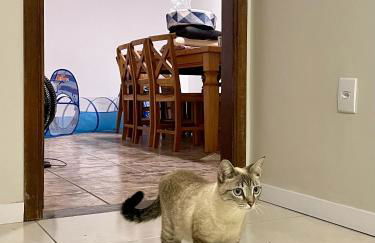 Casa Jabuticaba a 5 min dos Thermas e Hot Beach - Foto 38