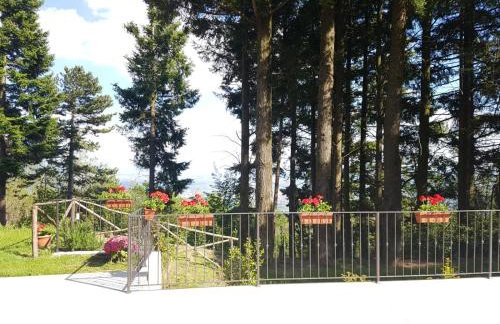 BELLA TUSCANY - Residence - Photo 24