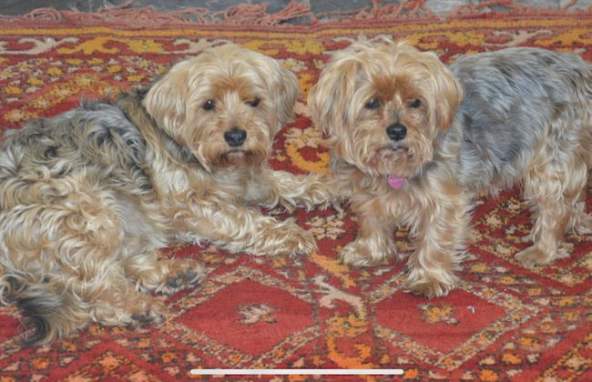 Cottage in Worcestershire - Photo 13