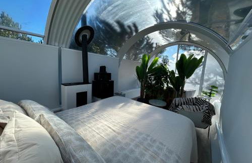 SKD Casa Amarilla Suite Rivera - Photo 3