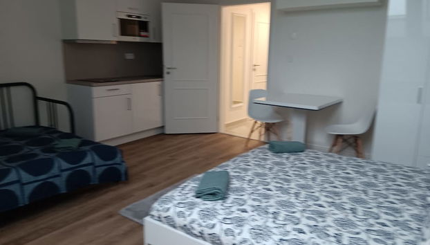 1 Br Apartment at Prague 1 - Foto 3, Habitación