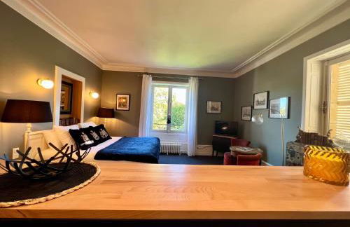 Demeure de Flore - Hôtel Particulier au Cœur de Brive comprenant 8 appartements de charme - Foto 32
