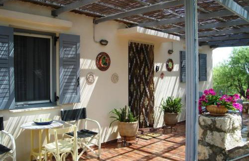 Il Suo Paradiso - Photo 37