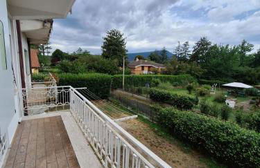 Lago Cimino - Foto 3