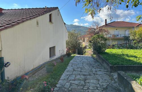 Angela House - Photo 22