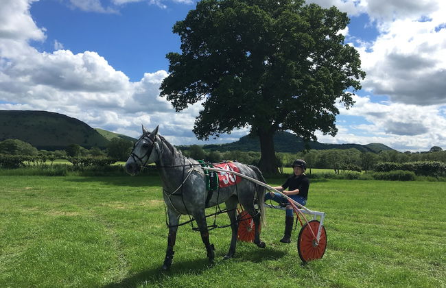 Acorn Court Country House - Foto 34