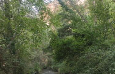 Casa Rural La Torreta en El Rincón de Ademuz - Foto 43