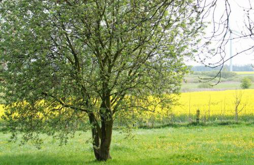Zielone Wakacje Kusin, Dom Wakacyjny - Foto 33