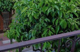 Nice Apartment 2 Bedrooms Well Connected - Foto 10