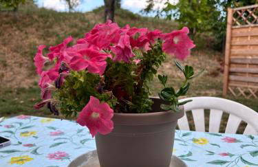 Agriturismo Collamato - Foto 33