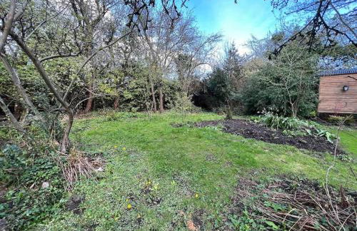 Tranquil Spot Shepherds Hut - Foto 14