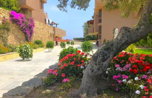 Apartment in Olbia with shared garden - Photo 18