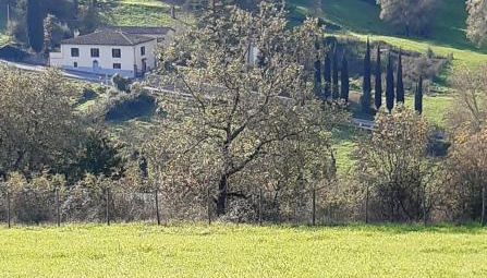 CASA AL MIGLIO - Foto 2