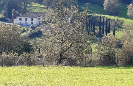 CASA AL MIGLIO - Foto 2