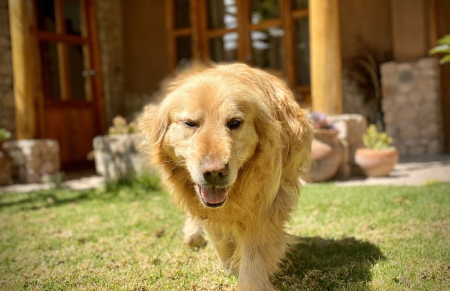 URUHome Cusco - Foto 33