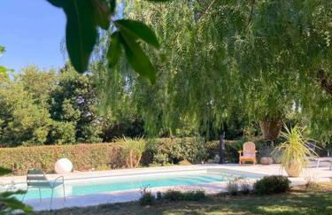 Location à Porto Vecchio - Foto 41