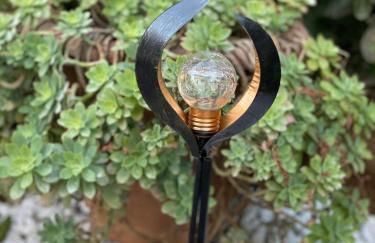 43° Parallelo - Foto 14