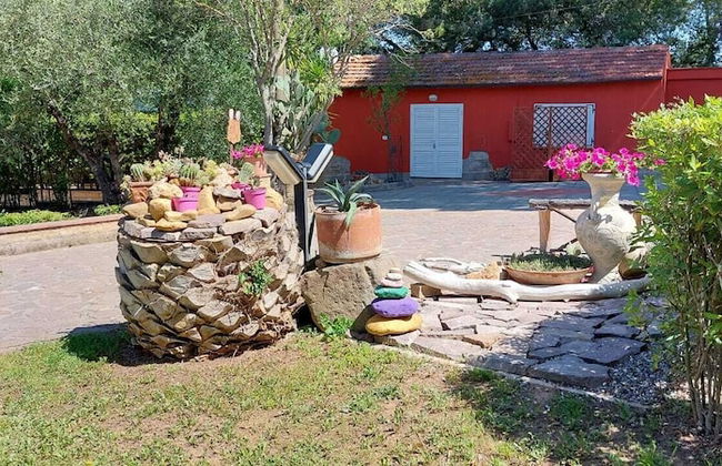 Buen Camino SSA - Foto 30