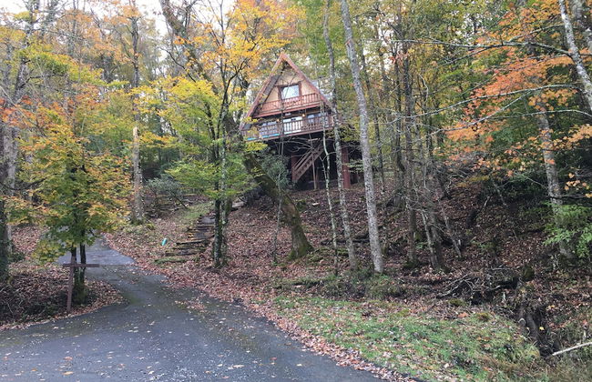 Unforgettable Dreams - Foto 34