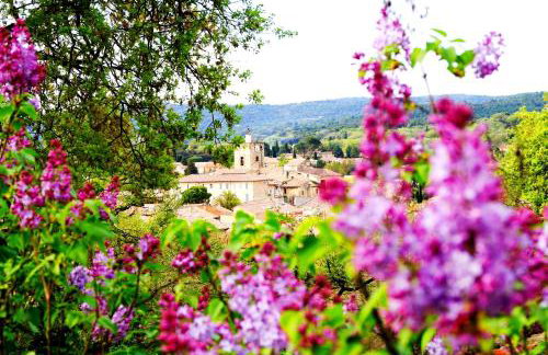 Les Lilas des Chênes, Provence proche d'Orange, Gorges de l'Ardèche, Mont Ventoux - Photo 35