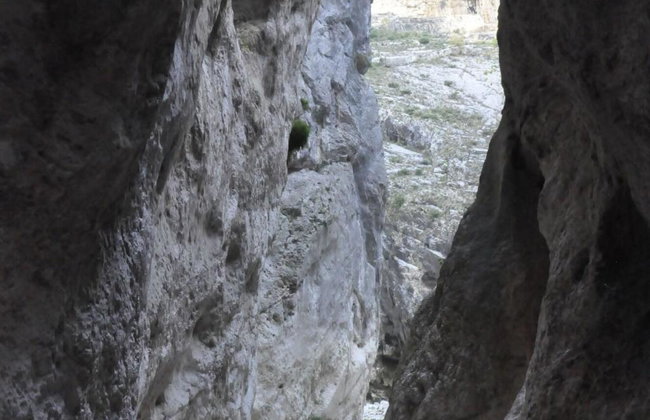 Da Oreste Affittacamere - Foto 36