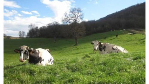 Apartamento ll - Photo 4