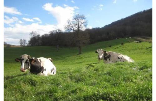 Apartamento ll - Photo 4